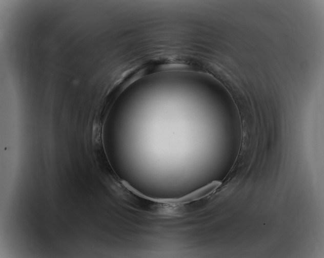 X0000088180096200705221651