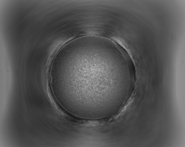 X0000088180097200705221650