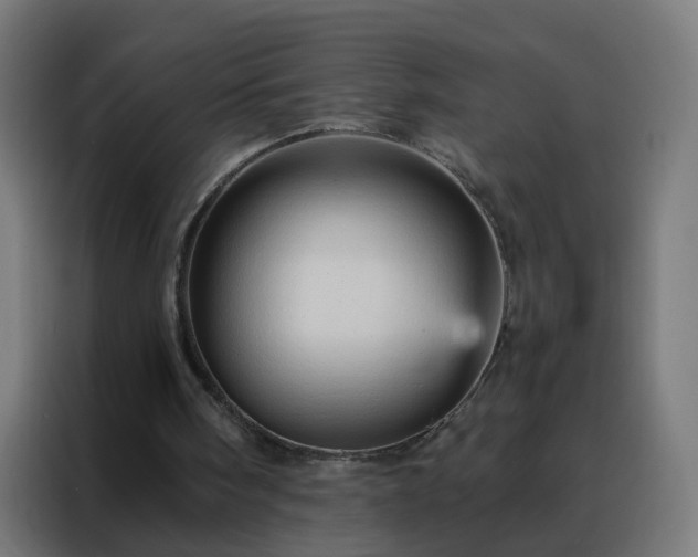X0000088180098200705221650