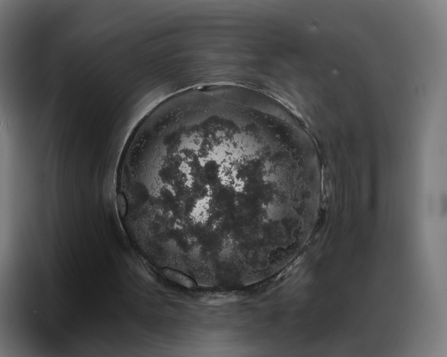 X0000088180099200705221650