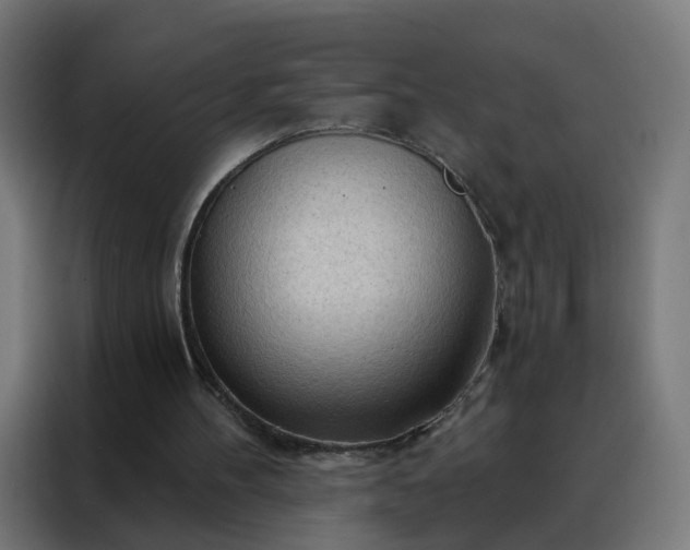 X0000088180100200705221650