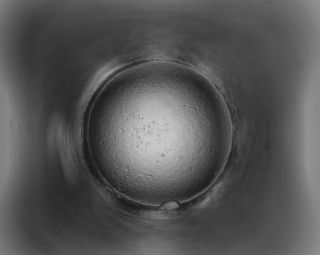 X0000088180103200705221650