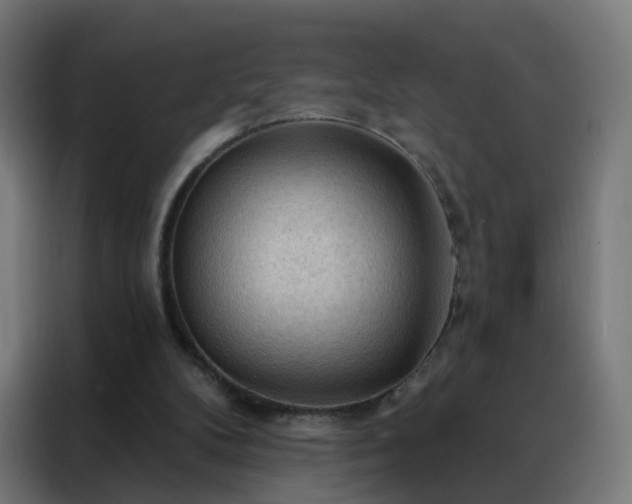 X0000088180104200705221650