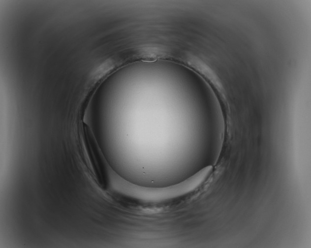 X0000088180105200705221650
