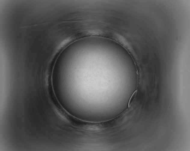 X0000088180106200705221650