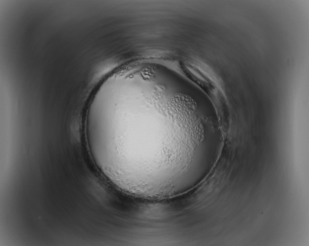 X0000088180107200705221650