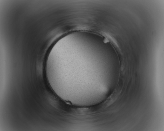 X0000088180108200705221650