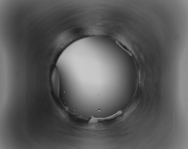 X0000088180109200705221650
