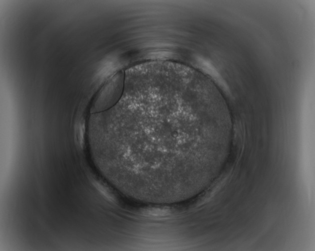 X0000088180110200705221650