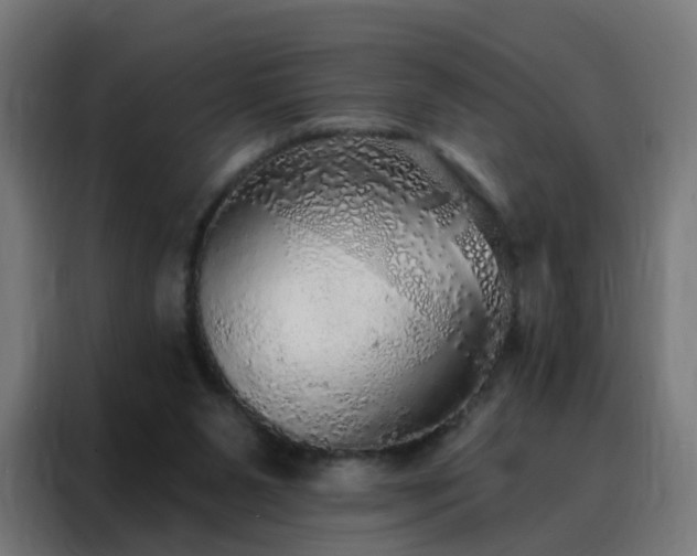 X0000088180111200705221650