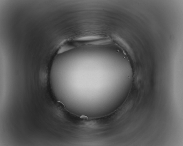 X0000088180113200705221650