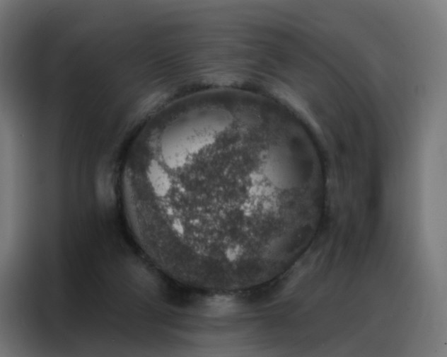 X0000088180114200705221650