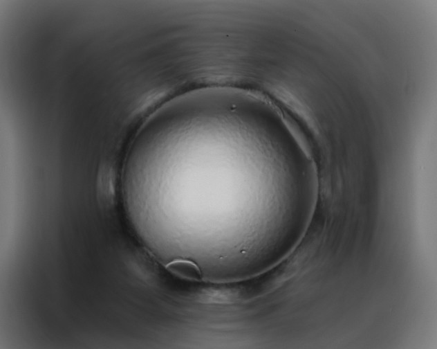 X0000088180115200705221650