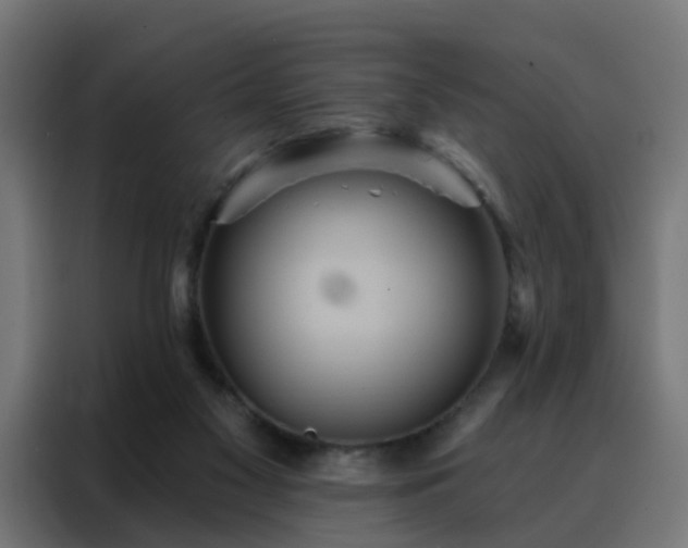 X0000088180117200705221650
