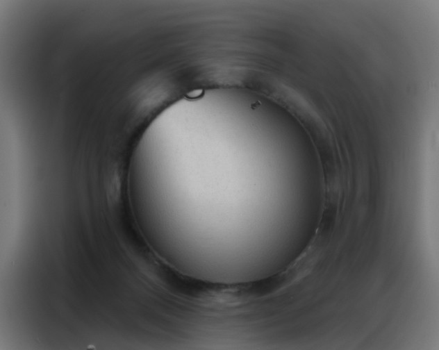 X0000088180120200705221650