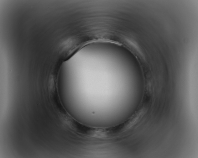 X0000088180121200705221650