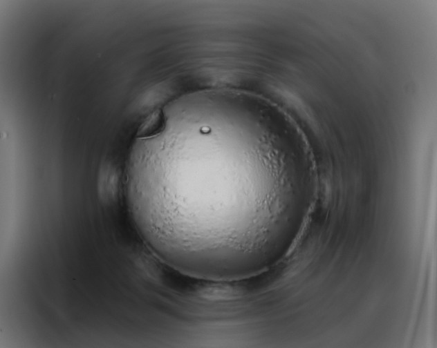 X0000088180123200705221650
