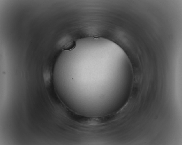 X0000088180124200705221650