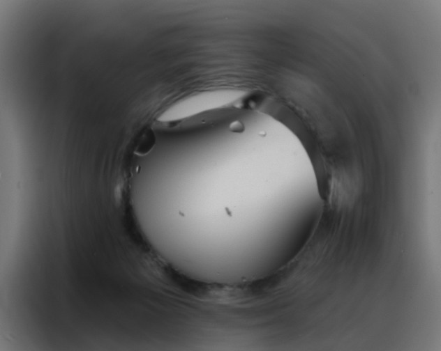 X0000088180125200705221650