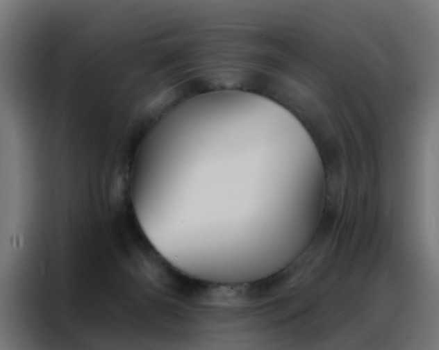 X0000088180126200705221650