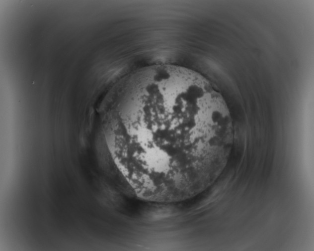 X0000088180127200705221650