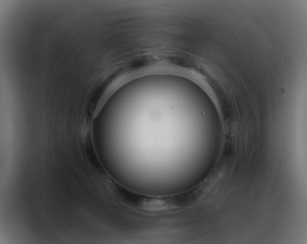 X0000088180129200705221650