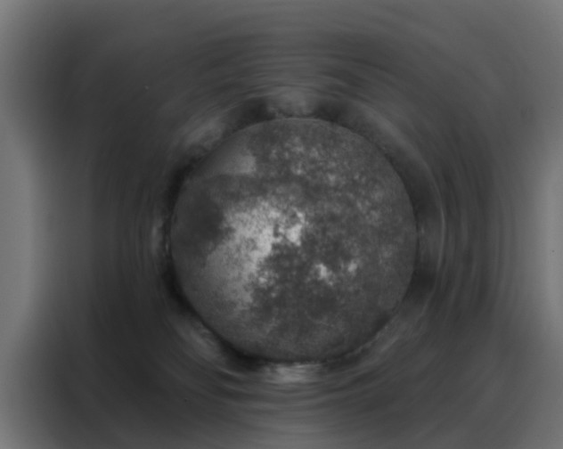 X0000088180134200705221650