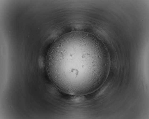 X0000088180135200705221650