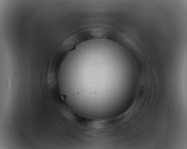 X0000088180136200705221650