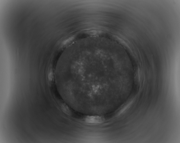 X0000088180137200705221650