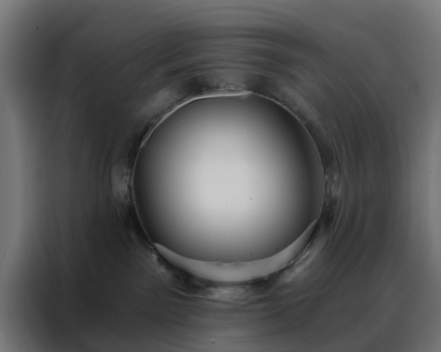 X0000088180141200705221650
