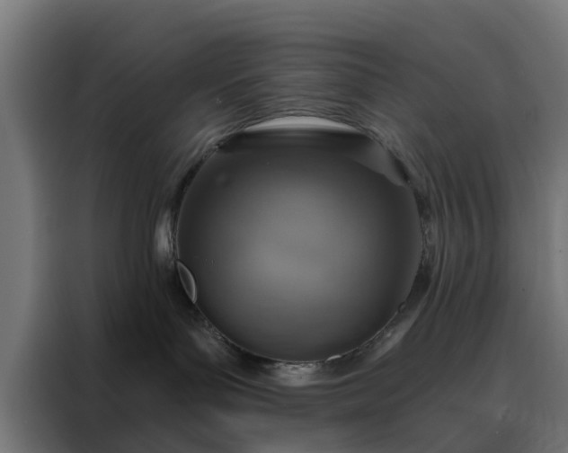 X0000088180143200705221650