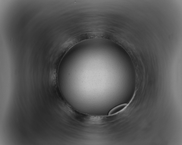 X0000088180144200705221650