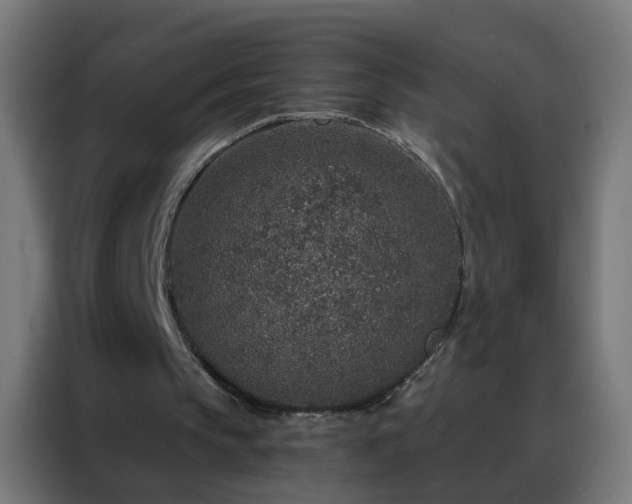 X0000088180145200705221649