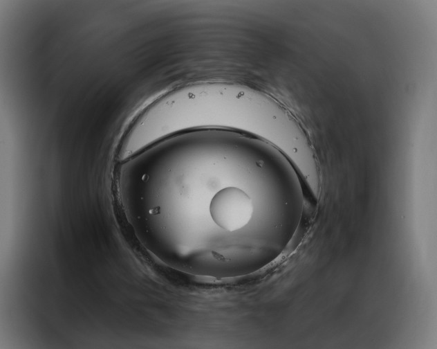 X0000088180146200705221649
