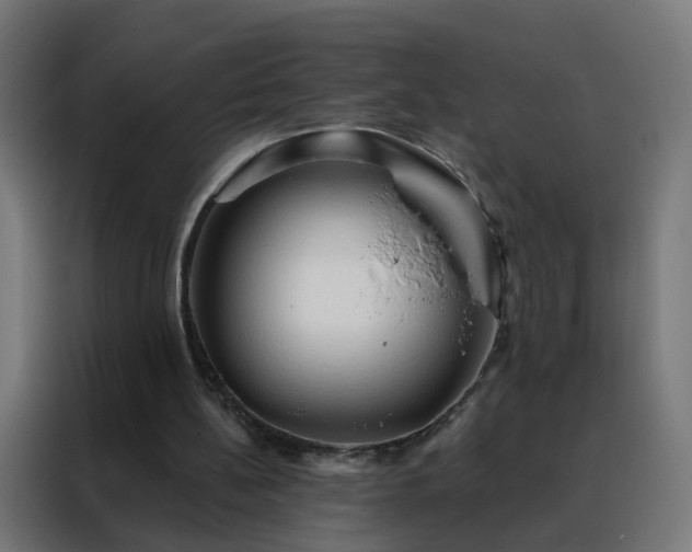 X0000088180148200705221649