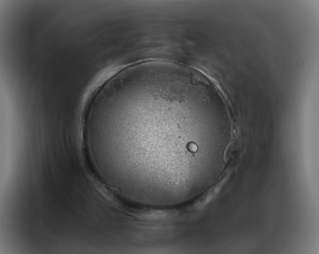 X0000088180149200705221649