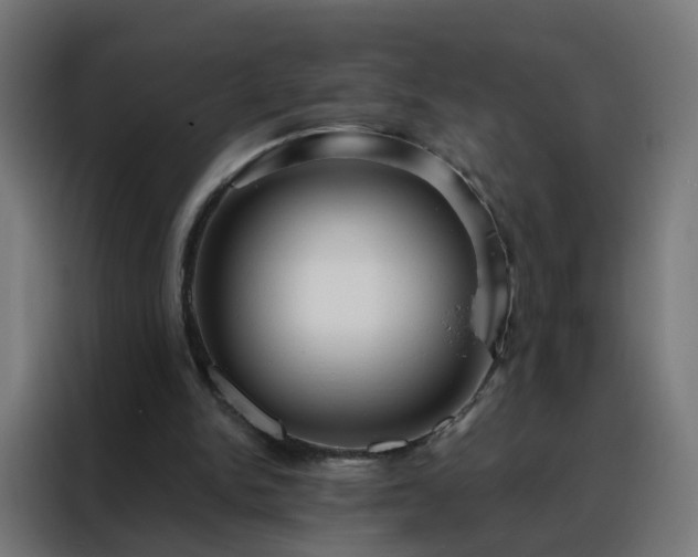 X0000088180150200705221649