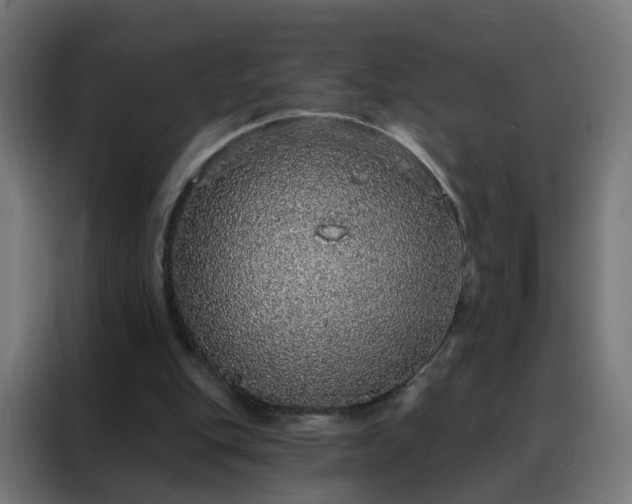 X0000088180151200705221649