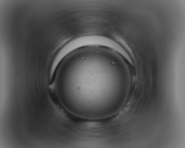 X0000088180154200705221649