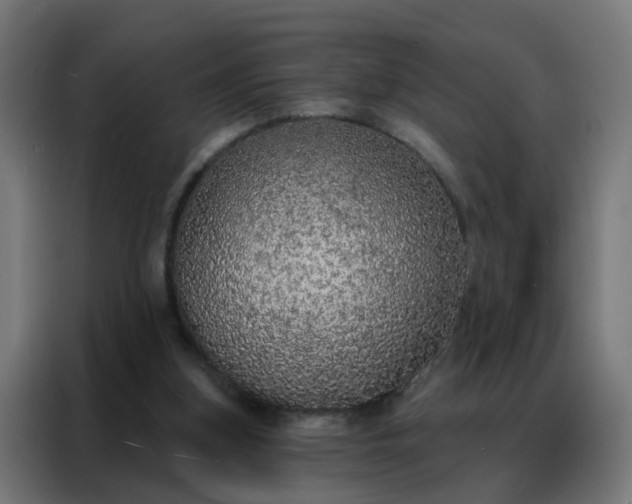 X0000088180155200705221649