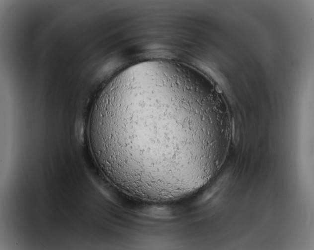X0000088180157200705221649