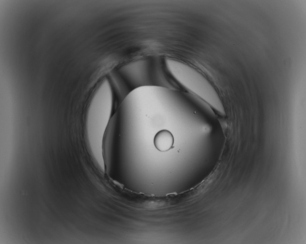X0000088180158200705221649