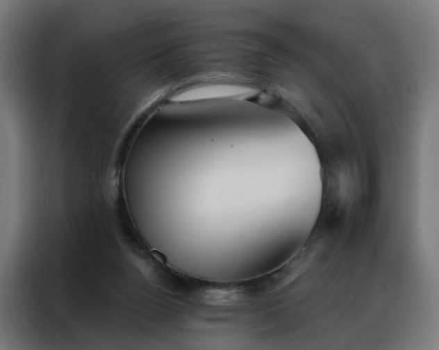 X0000088180160200705221649