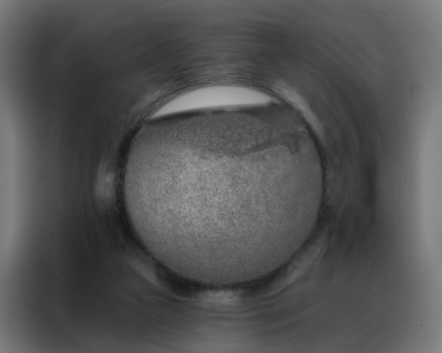 X0000088180161200705221649