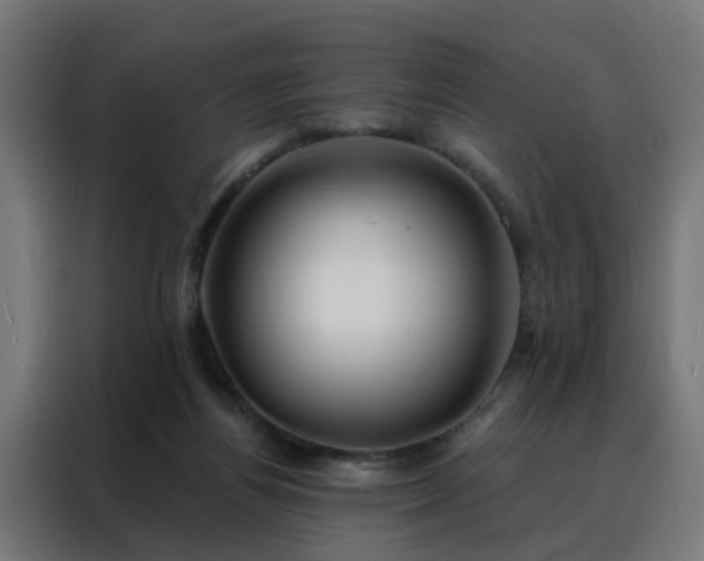 X0000088180164200705221649