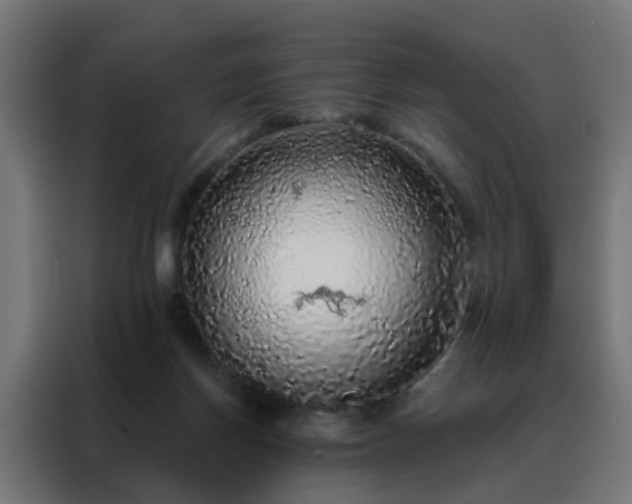 X0000088180166200705221649