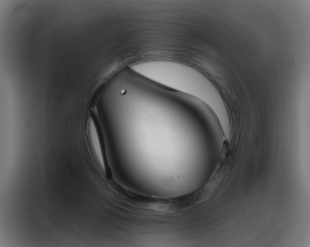 X0000088180168200705221649