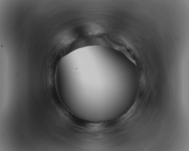 X0000088180170200705221649