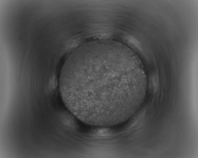 X0000088180173200705221649